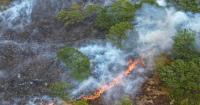 Brits Unimpressed By Burnham's Response To UK Wildfires And Droughts