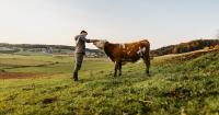 Methane money: Investors target livestock climate tech, animal monitoring and waste-to-energy solutions