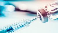 Brazil Advances New Vaccine Approach for P vivax Malaria