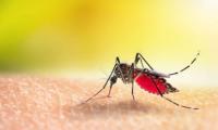 West Nile virus case confirmed in Cyprus, patient in intensive care