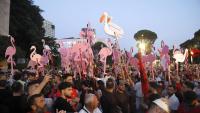 Albania’s Flamingo Movement Said ‘No’, Now It Needs the Courage to Say ‘Yes’