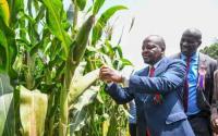 Agriculture and Livestock Development Cabinet Secretary Mutahi Kagwe has reassured farmers that Kenya is well stocked with seeds for the upcoming planting season