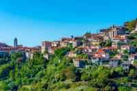 Greek Villages Shrink as Olive Groves Run Wild