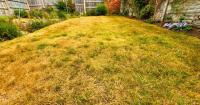 Gardeners can help yellow lawns grow back greener with 1 crucial task in August