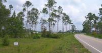 Ocean Isle Beach Road commercial rezoning nixed