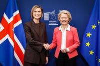 Icelandic EU ambitions: half-in, but still reluctant to join