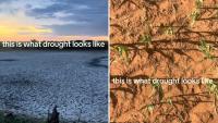 Oklahoma farmer's stark video shows what drought looks like when rain never comes