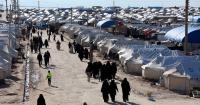 Finnish mother faces human trafficking charges for taking children to ISIS-controlled Syria