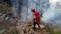 TV exec, Florida restaurateur among 4 killed in Kenya helicopter crash