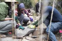 On Mount Lemmon, volunteers give unemployed rocks a new job: Erosion control