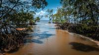 Brazil’s president defends oil discovery