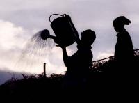 Governments brace for historic El Nino impacts on global weather extremes