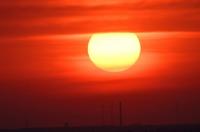 Germany reports record 14,000 heat-related deaths this summer