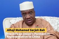 African Union rep praises China's zero-tariff stance