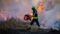 Polymarket Users Gambled More Than $1.2 Million On Los Angeles Firestorms Last Year in What’s Been Called an ‘Arson Market’