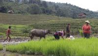 Rare earth exploration in Shan State’s Namkham threatens agriculture, environmentalists report