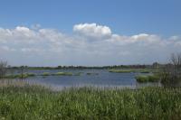 How To Enjoy NYC’s Jamaica Bay, on Water or Land