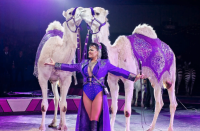 Circuses, Cats & Catching Culprits? Arkansas Weekend Events Aug. 20-23