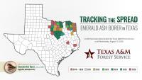 Texas A&M Forest Service detects emerald ash borer in five additional counties