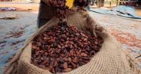 Ivory Coast says it is ready for EU cocoa rules as exporters warn of delays