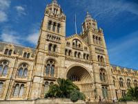 A Hidden Gallery at London’s Natural History Museum Reopens After 80 Years, Rediscovered Bernini Painting On View in Vienna: Morning Links for August 20, 2026