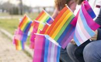 Pachamama ritual performed by Vatican official took place at pro-LGBT event