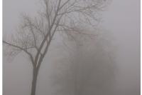 WEATHER: Dense morning fog expected across SIX provinces