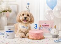 Pet Lifestyle Brand Genius Dog Launches Birthday Box on Chewy