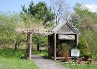 Master Gardeners offering authentic Tai Chi, Qi Gong sessions starting Sept. 1