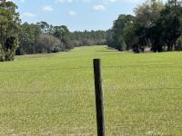 Florida university’s plan for flight school in national forest is plane crazy