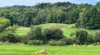 A Vacation Farmhouse In Vermont Inspires A Renewable Energy Travelogue