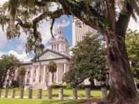 Tallahassee Almanac