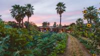 Beyond The Spa: 6 Cabo Resorts Redefining Wellness Travel