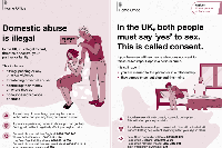 Government pamphlet legitimises racist lies about violence against women