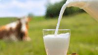 MU Health Care physician explains risks with rising raw-milk trend