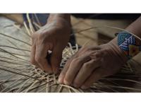 Nia Tero Releases Annual Report Highlighting Indigenous Peoples' Guardianship of Ancestral Territories