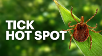 New Jersey park among top in the nation for tick-borne illnesses