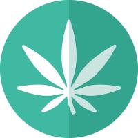 Medical marijuana top $63K