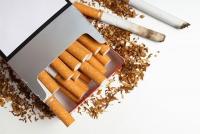 ‘ASEAN must harmonize rules to combat illicit tobacco trade’