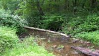 Southern Maryland’s Share of $4.6M Grant Round Unclear