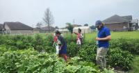 The Caruthersville Community Garden is 'more than a garden. It's a source of fresh food, education, even physical activity.'