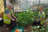 Sheffield charity digging deep to transform food poverty - with next big milestone in sight