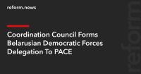 Coordination Council Forms Belarusian Democratic Forces Delegation To PACE
