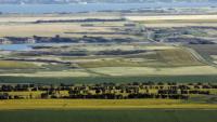 Foreign Farmland Ownership Restrictions May Lower Land Values, Study Finds