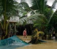 Agri losses due to storms hit P1.73B