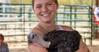 Complete results from 2026 Judith Basin County Fair