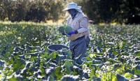 Farmers, property owners urged to sign up to Grow Local