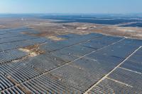China's rapid solar expansion hurt bird diversity: study