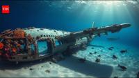 In 2016, Turkey sank a retired Airbus A300 into the Aegean Sea to create an artificial reef for marine life