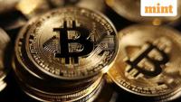 Bitcoin and Dogecoin emerge as India's favourite crypto duo: New study reveals how age shapes investing preference